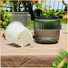 { ComBo 2 } Chậu Thủy Sinh - Chậu Trồng Cây Phong Thủy - Chậu Tự Tưới - Để Bàn Làm Việc giadungtienich5k